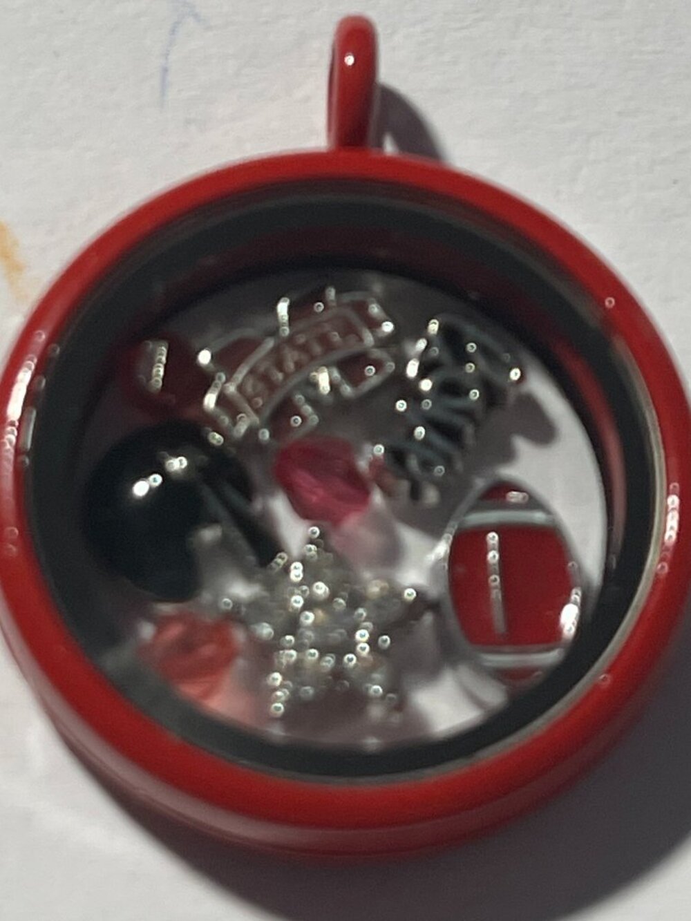 Mississippi State Bulldogs NCAA Memory Charm Locket w/ 22 IN chain NEW